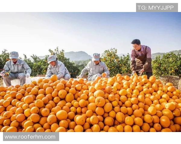 亚马尔地区的能源开发与可持续发展探索及其对全球市场的影响分析